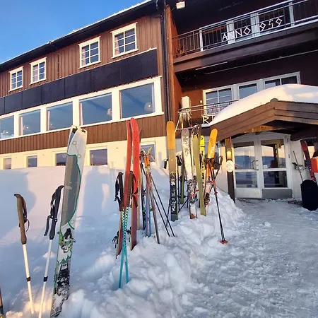 Fjellstue Otel Bergsjostolen