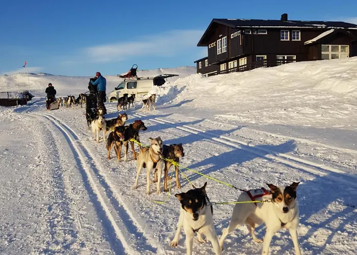 Fjellstue Otel 2*