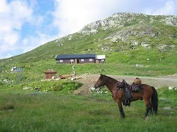 Fjellstue מלון Bergsjostolen