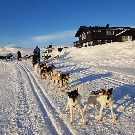 Fjellstue Hotel 2*