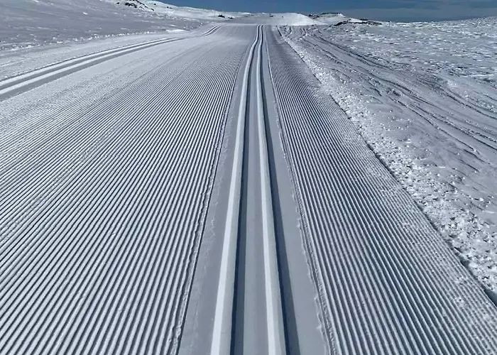 Fjellstue 2* Bergsjostolen